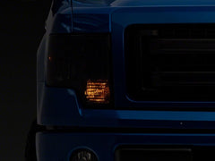 Photo - Close Up