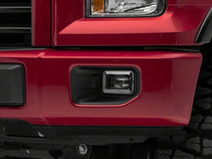 Photo - Close Up