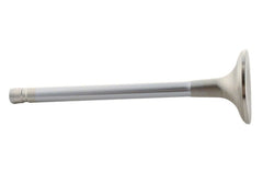 Photo - Unmounted