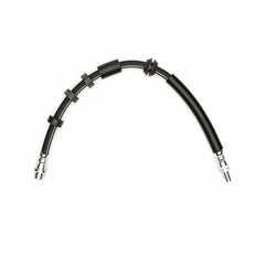 Photo - Primary