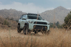 Photo - Close Up