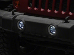 Photo - Close Up