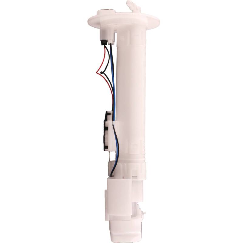 Photo - Close Up