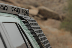Photo - Close Up