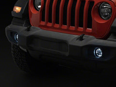 Photo - Close Up