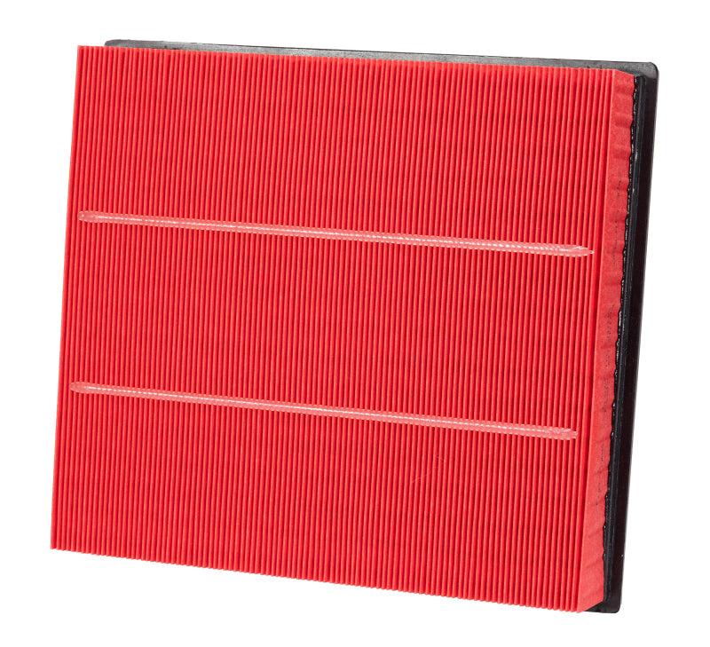 Photo - Primary