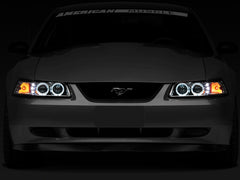Photo - Close Up