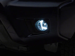 Photo - Close Up