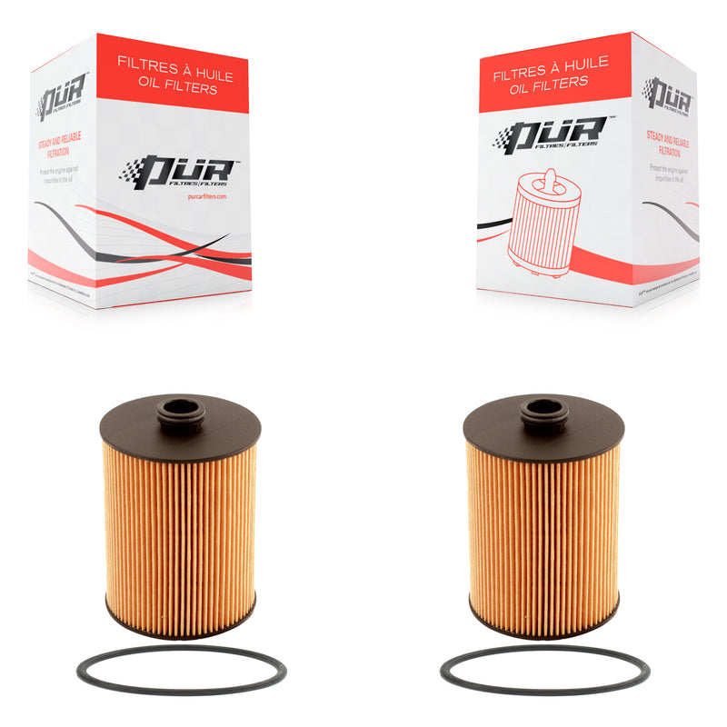 K56-100003_PUR_N/A_Engine Oil Filter Kit