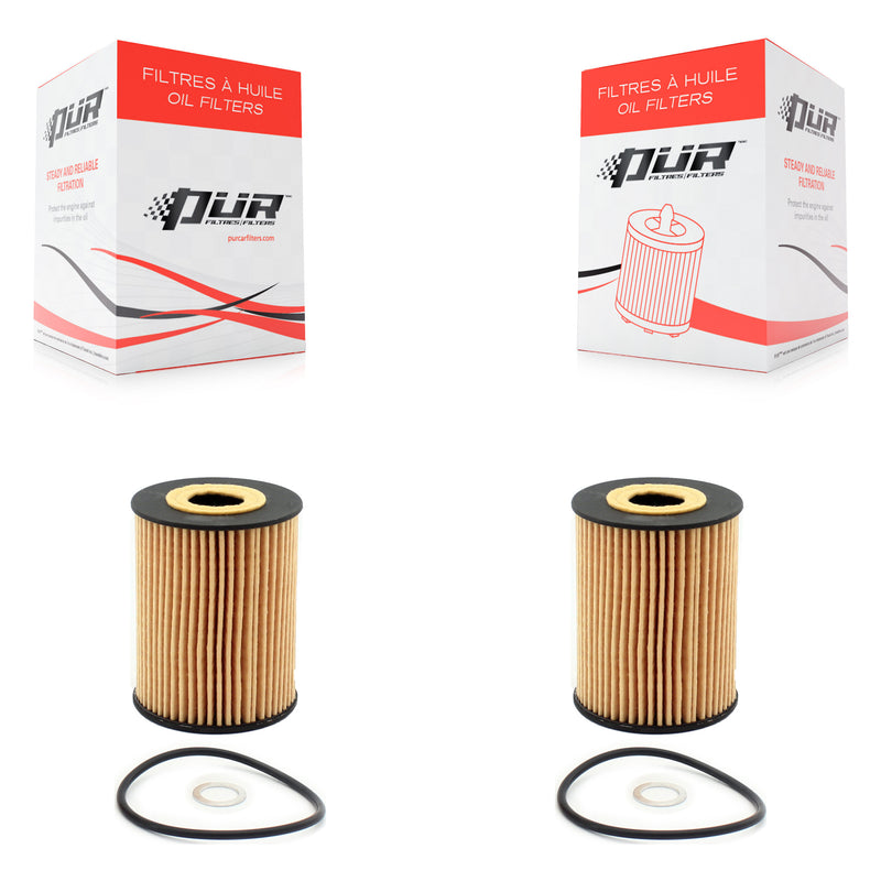 K56-100012_PUR_N/A_Engine Oil Filter Kit
