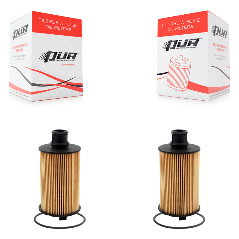 K56-100015_PUR_N/A_Engine Oil Filter Kit