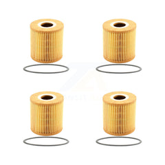 K56-100113_PUR_N/A_Engine Oil Filter Kit