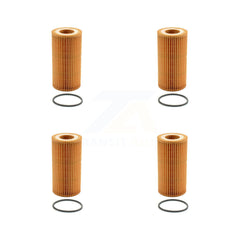 K56-100114_PUR_N/A_Engine Oil Filter Kit