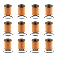 K56-100245_PUR_N/A_Engine Oil Filter Kit
