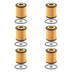 K56-100300_PUR_N/A_Engine Oil Filter Kit