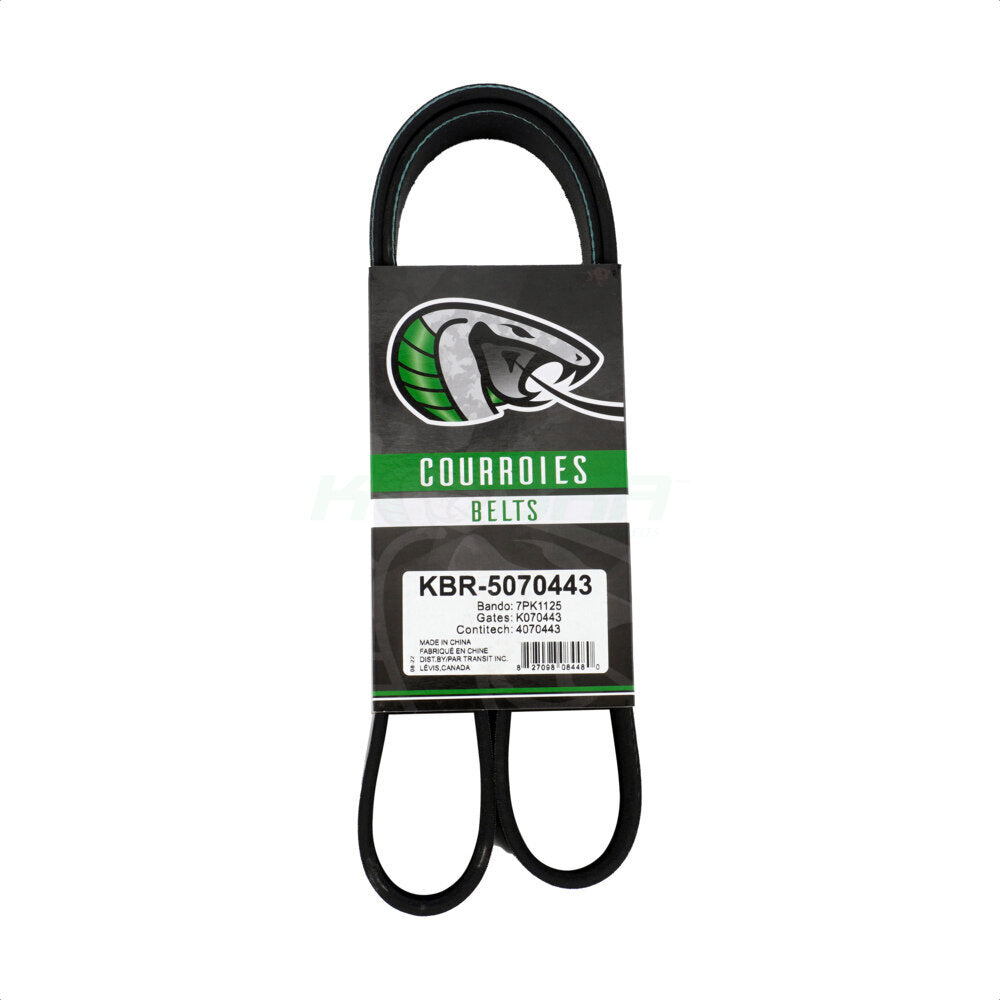 Kobra_Serpentine Belt_KBR-5070443
