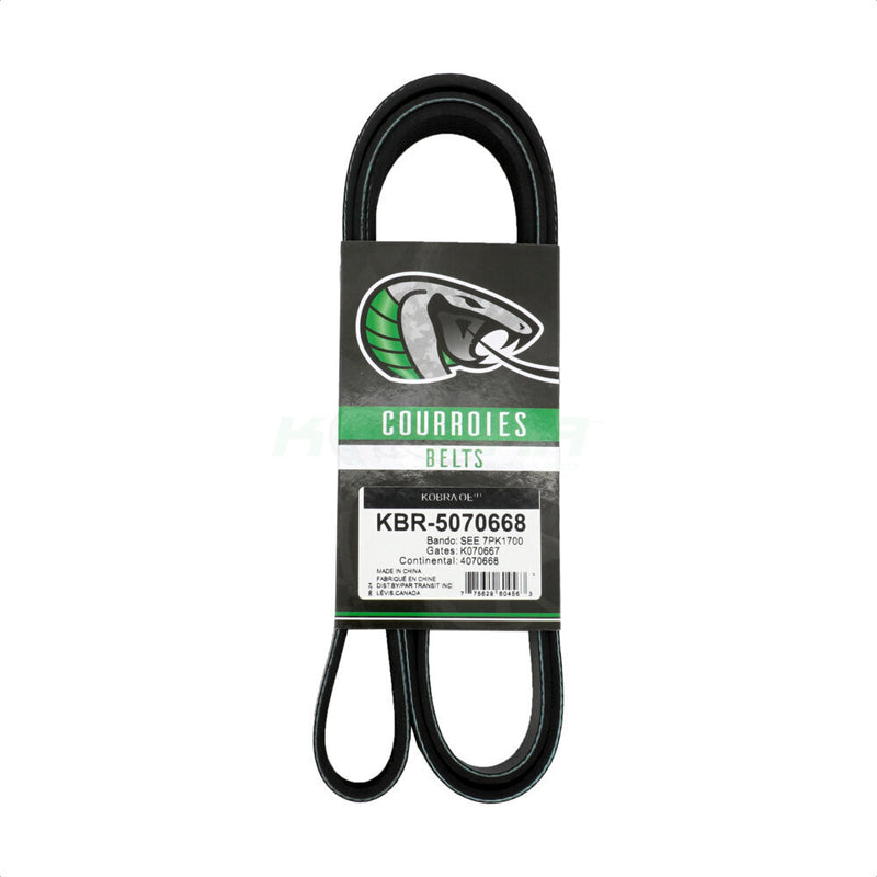 Kobra_Serpentine Belt_KBR-5070668