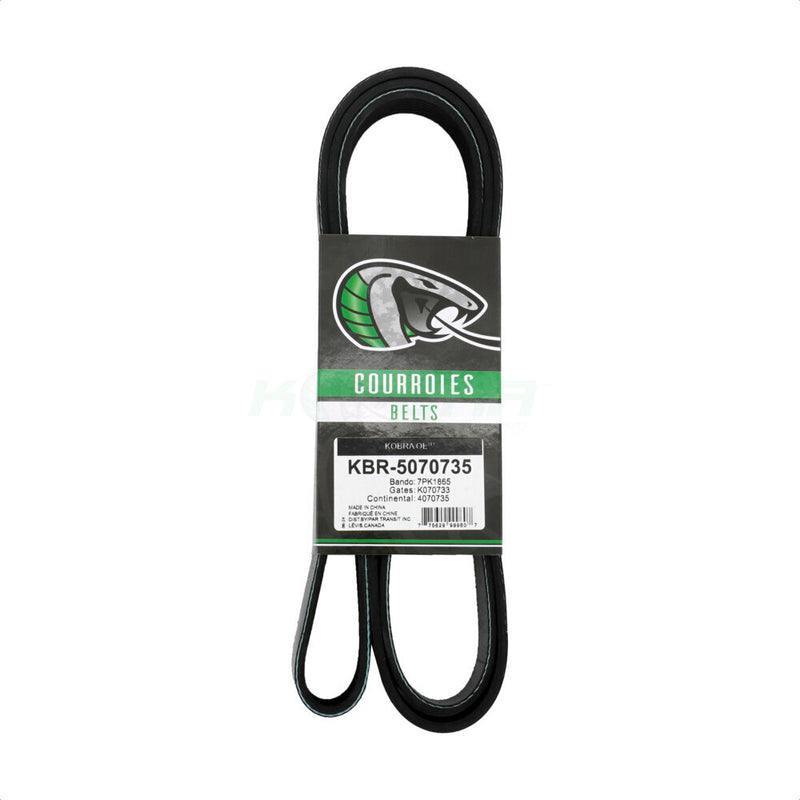 Kobra_Serpentine Belt_KBR-5070735