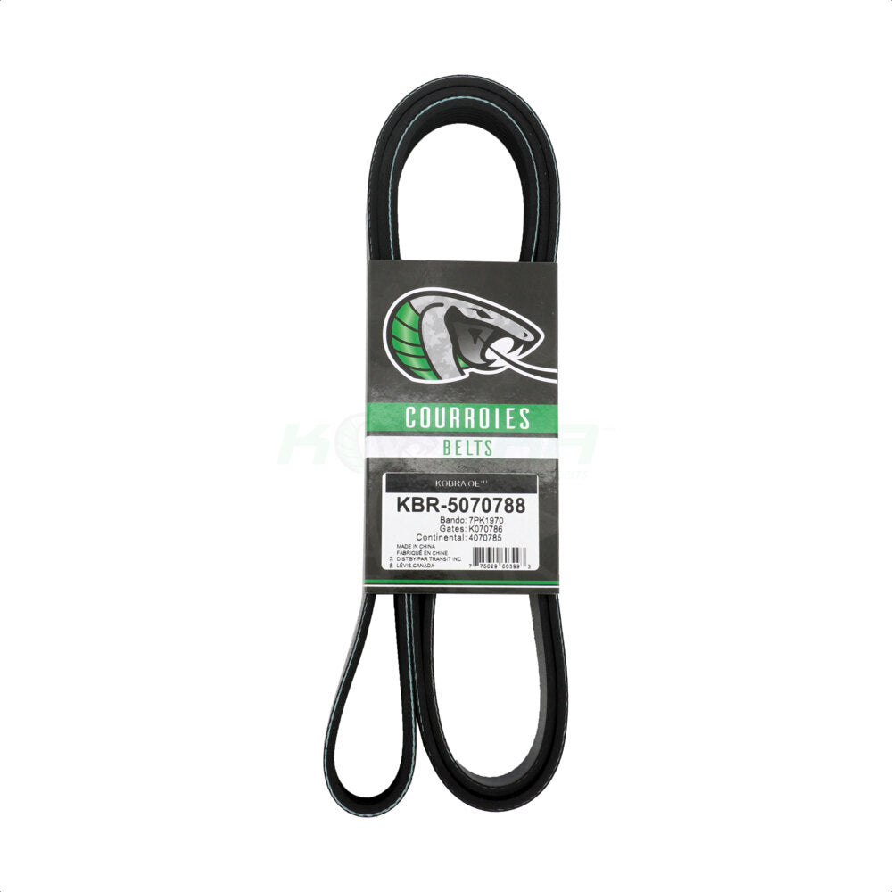 Kobra_Serpentine Belt_KBR-5070788