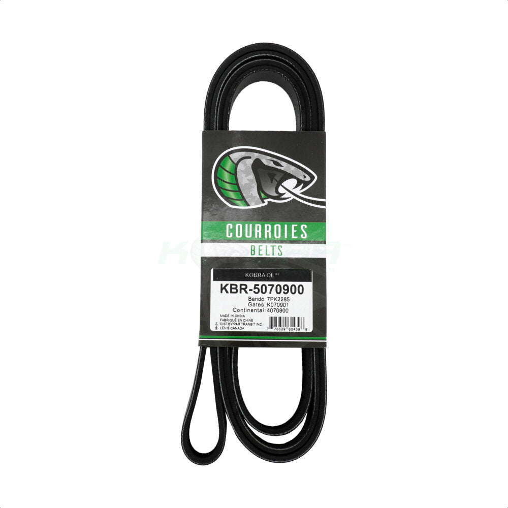 Kobra_Serpentine Belt_KBR-5070900