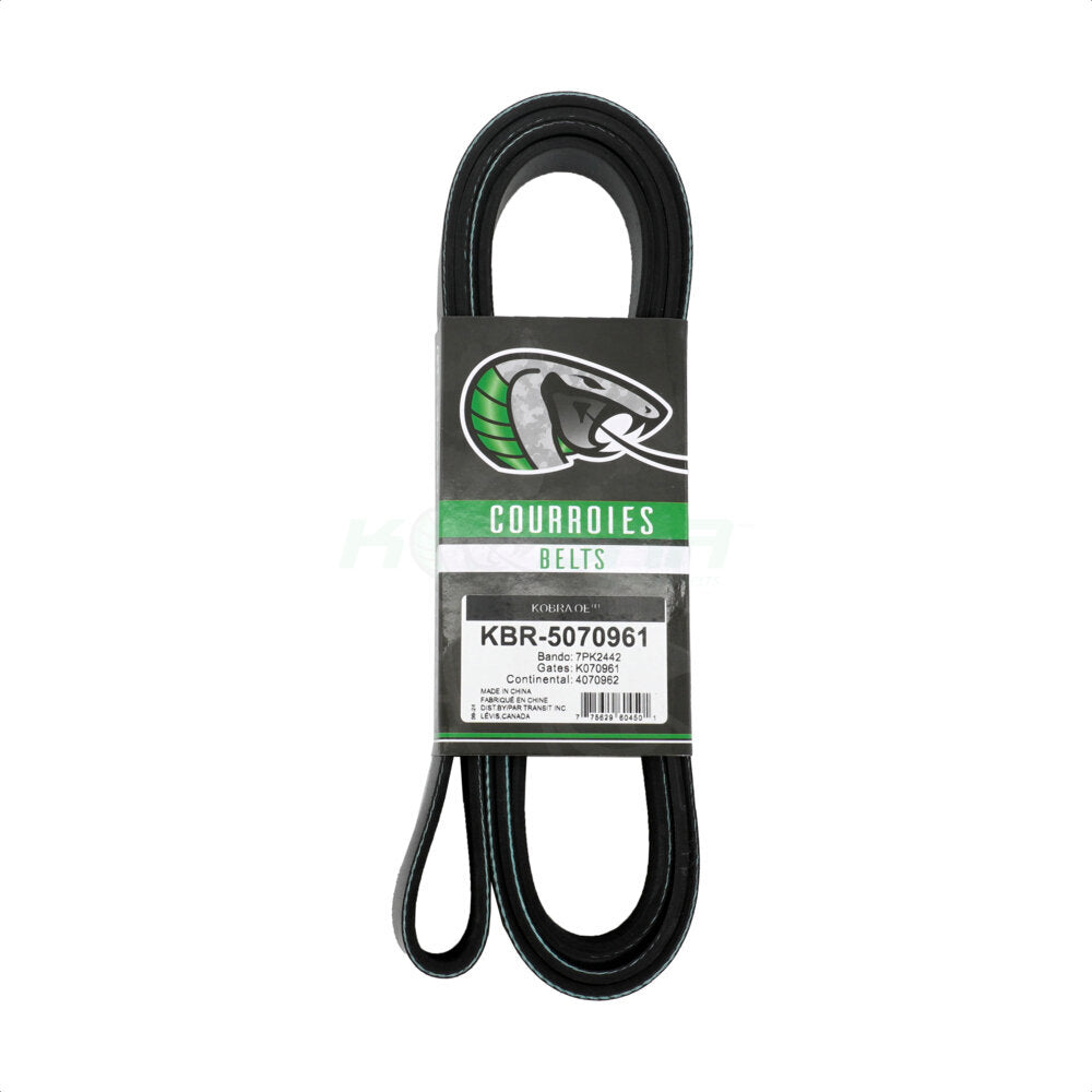 Kobra_Serpentine Belt_KBR-5070961