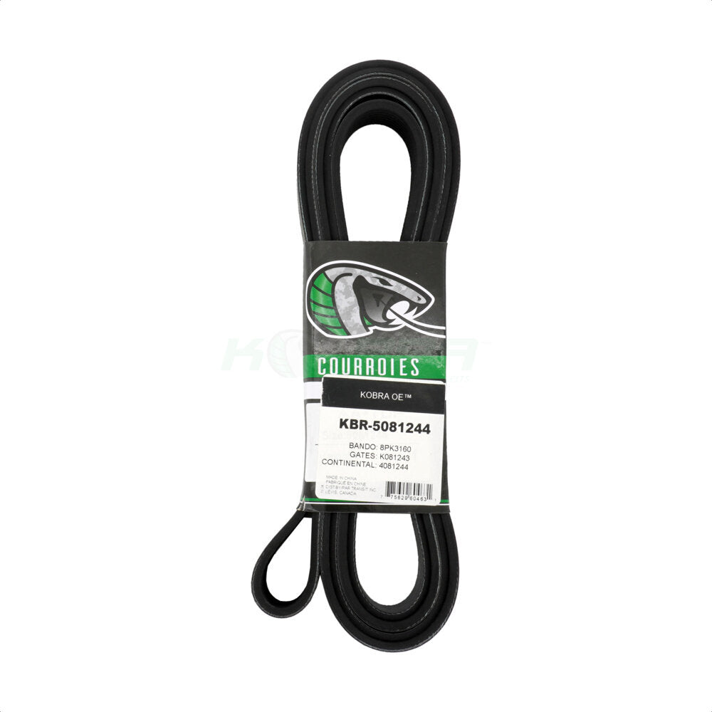 Kobra_Serpentine Belt_KBR-5081244