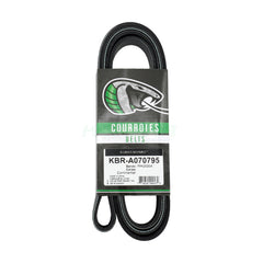 Kobra_Serpentine Belt_KBR-A070795