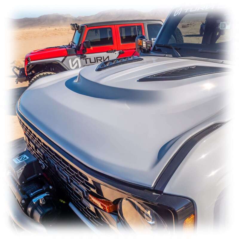 Photo - Close Up