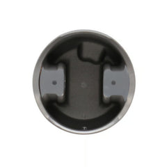User 1