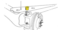Photo - Close Up