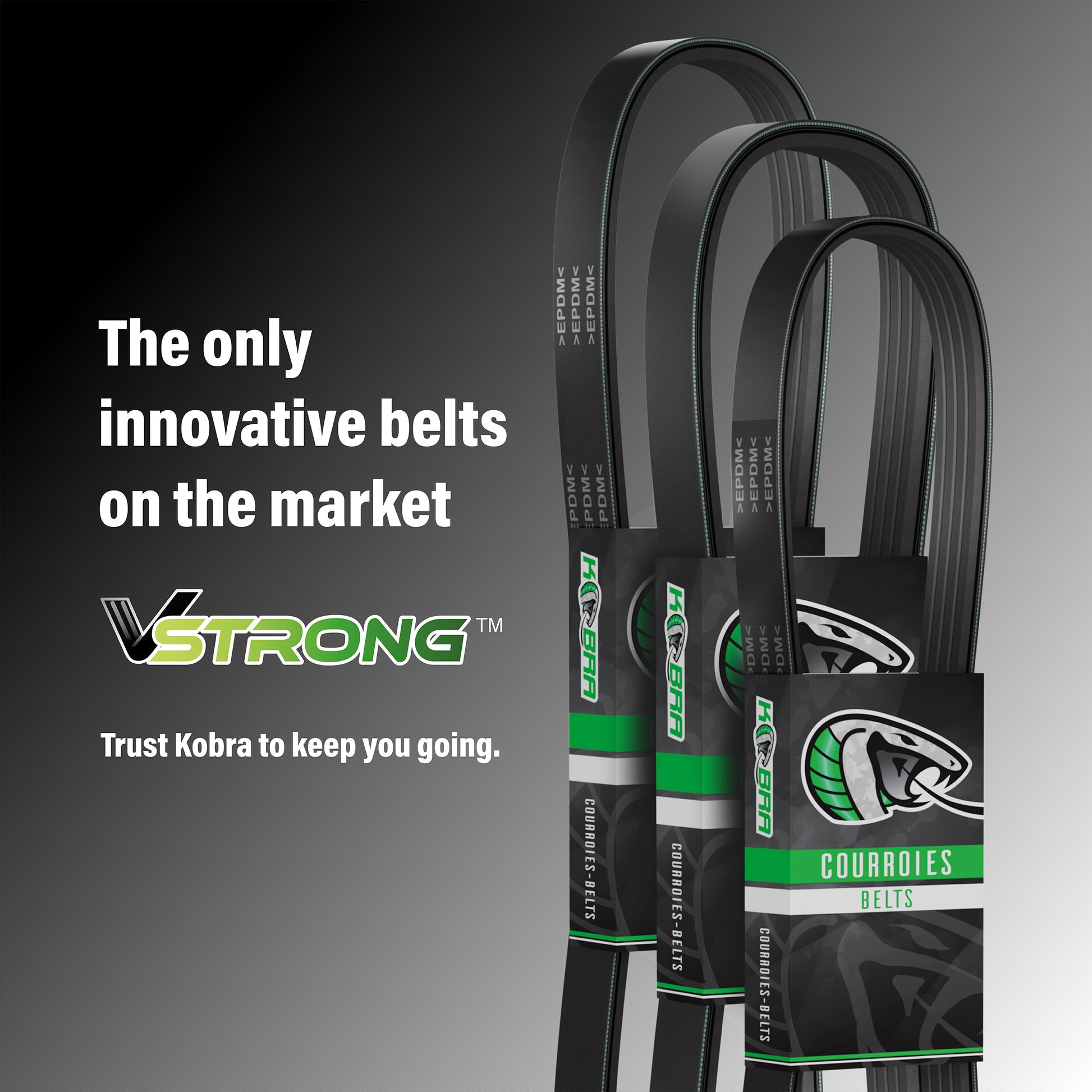 Kobra_Serpentine Belt_KBR-5060660