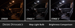 User 2