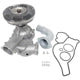 US MOTOR WORKS MCK1025 Engine Water Pump with Fan Clutch