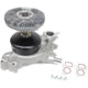 US MOTOR WORKS MCK1109 Engine Water Pump