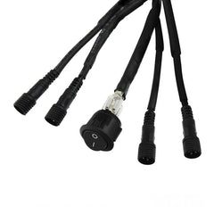 Photo - Unmounted