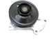 US MOTOR WORKS US8179 Engine Water Pump