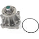 US MOTOR WORKS US8920 New Water Pump