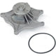 US MOTOR WORKS US8955 New Water Pump