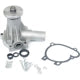US MOTOR WORKS US9068 New Water Pump