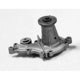 US MOTOR WORKS US5029 New Water Pump