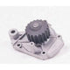 US MOTOR WORKS US9250 New Water Pump