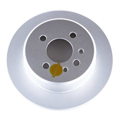 Power Stop EBR220EVC Evolution Geomet Coated 1-Piece Plain Rear Brake Rotors for 1991 BMW 318I Base product image