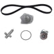 US MOTOR WORKS USTK295E Engine Timing Belt Kit with Water Pump